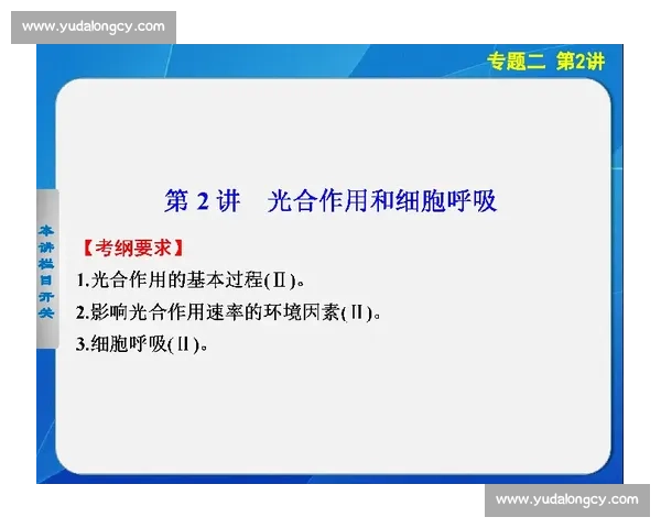 出线之路：团队协作与个人突破成就晋级梦想的关键因素解析